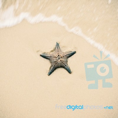 Starfish On The Beach Sand. Close Up Stock Photo