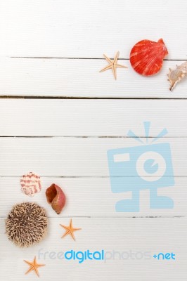 Starfish On White Wood Stock Photo