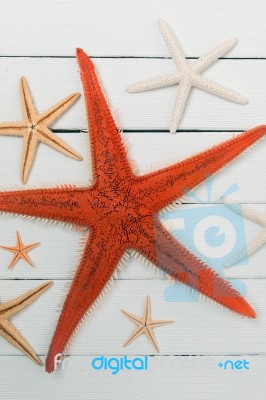 Starfish On White Wood Stock Photo