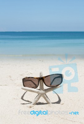 Starfish Standing With Sunglasses Stock Photo