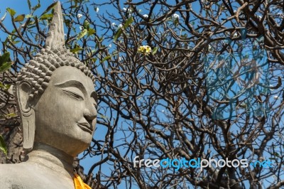 Statue Of Buddha, At Wat Yai Chai Mongkol, Ayutthaya, Thailand Stock Photo