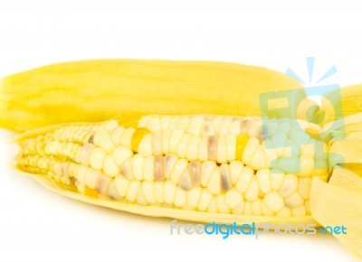 Steam Corn Stock Photo