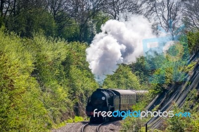 Steam Train On The Bluebell Railway Line In Sussex Stock Photo