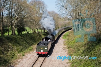 Steam Train On The Bluebell Railway Line In Sussex Stock Photo