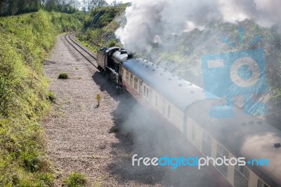 Steam Train On The Bluebell Railway Line In Sussex Stock Photo