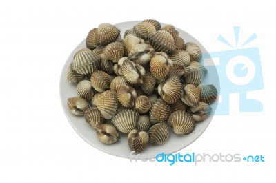 Steamed Blanched Clams Stock Photo