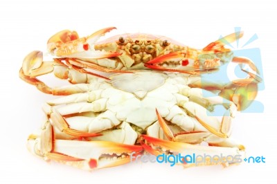 Steamed Crabs Stock Photo