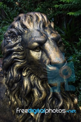 Steel Head Lion Stock Photo