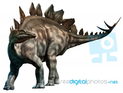 Stegosaurus Stock Image