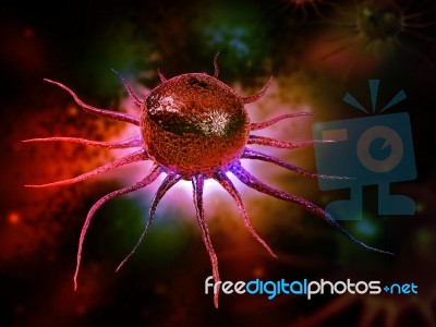 Stem Cell Stock Image