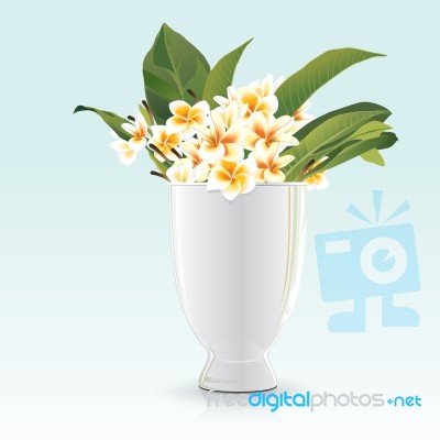 Still Life Of Frangipani And White Glay Stock Image