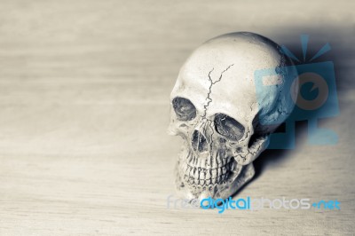 Still Life Of Human Skull Stock Photo