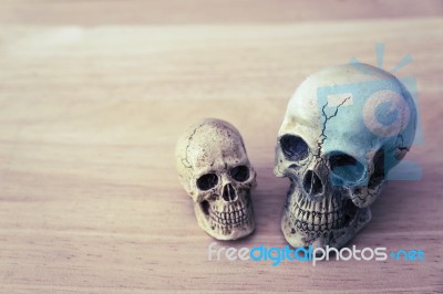 Still Life Of Human Skull Stock Photo