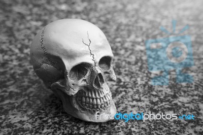 Still-life Of Human Skull On Granite Texture Background Stock Photo