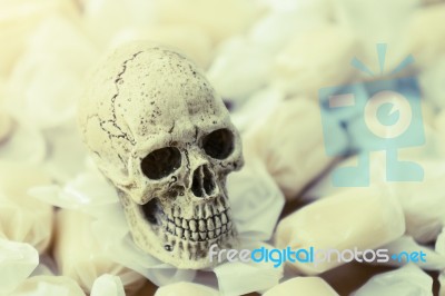 Still Life Of Human Skull With Candy Stock Photo