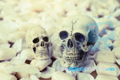 Still Life Of Human Skull With Candy Stock Photo