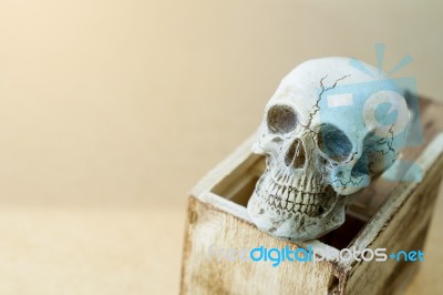 Still Life Of Human Skull With Wooden Box Stock Photo