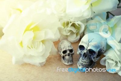 Still Life Of Love Human Skull Couple With Rose Flower Stock Photo