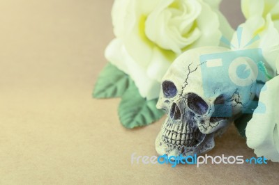 Still Life Of Love Human Skull With Rose Flower Stock Photo