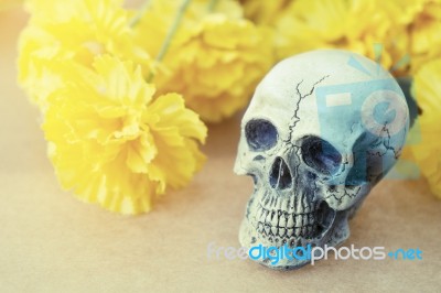 Still Life Of Love Human Skull With Yellow Flower Stock Photo