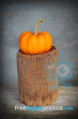 Still Life Pumpkin Stock Photo