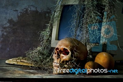 Still Life With A Skull Stock Photo