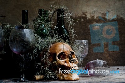 Still Life With A Skull Stock Photo