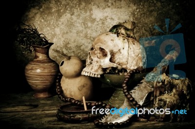 Still Life With A Skull Stock Photo