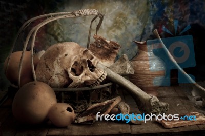 Still Life With A Skull Stock Photo