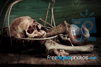 Still Life With A Skull Stock Photo