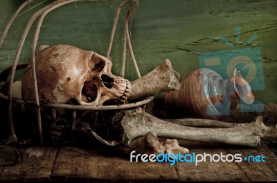 Still Life With A Skull Stock Photo