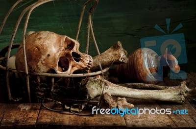 Still Life With A Skull Stock Photo