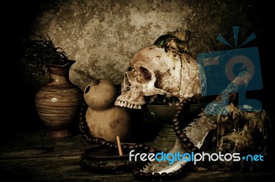 Still Life With A Skull Stock Photo