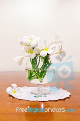 Still Life With White Spring Summer Flowers Stock Photo