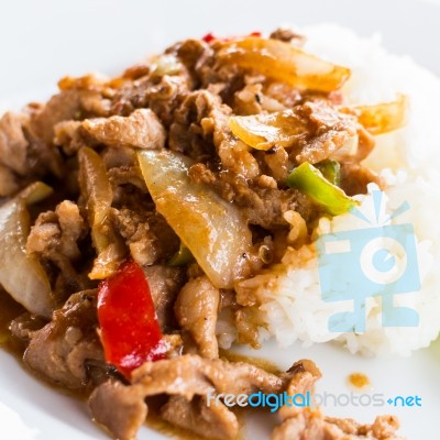 Stir Fried Pork With Pickled Bean Curd Stock Photo