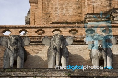 Stone Elephant Statues At Wat Chedi Luang In Chiang Mai, Thailand Stock Photo