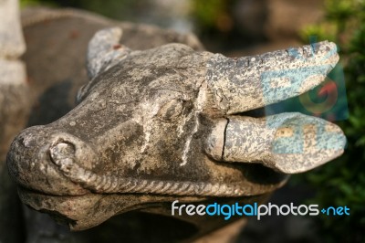 Stone Head Buffalo Stock Photo