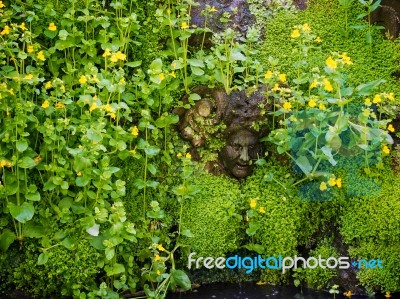 Stone Head Peeking Through Flowers  In The Garden At Hever Castl… Stock Photo