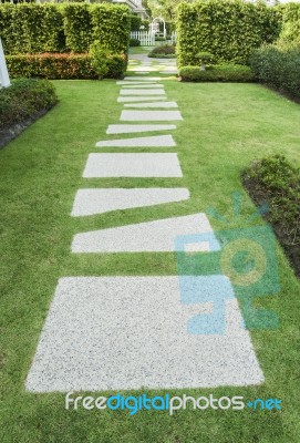 Stone Walkway In The Garden Stock Photo