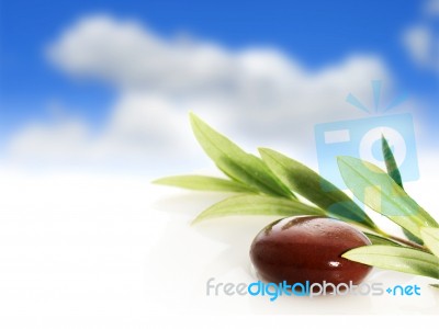 Stones And Olive Branch Stock Photo