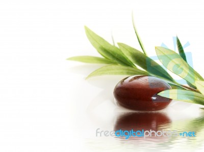 Stones And Olive Branch Stock Photo