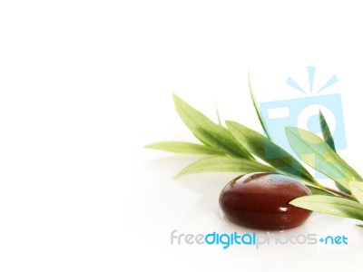 Stones And Olive Branch Stock Photo