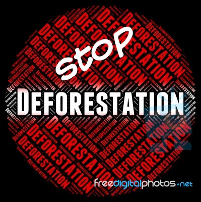 Stop Deforestation Shows Cut Down And Control Stock Image