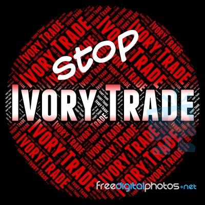 Stop Ivory Trade Indicates Elephant Teeth And Biz Stock Image