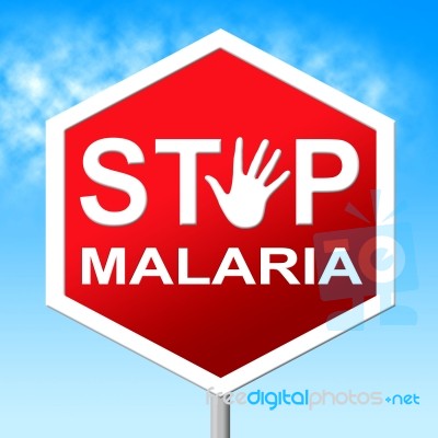 Stop Malaria Means Warning Control And Mosquitoes Stock Image