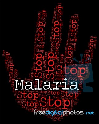 Stop Malaria Represents Warning Sign And Disease Stock Image