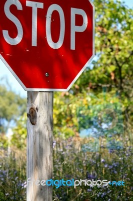 Stop Sign In Fall Stock Photo