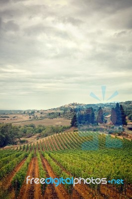 Stormy Sky Autumn Vineyard View Of Tuscany In Italy Stock Photo