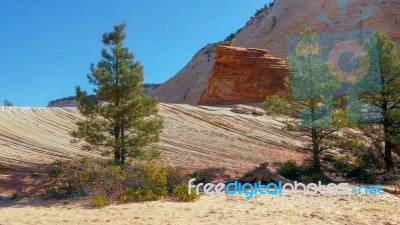 Strange Rock Formation And Checkerboard Mesa In Zion Stock Photo