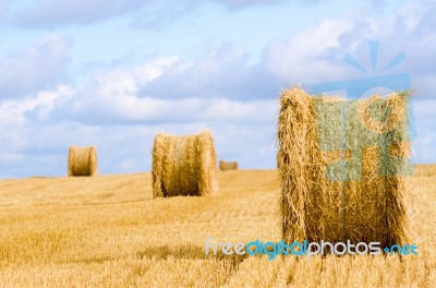 Straw Stock Photo